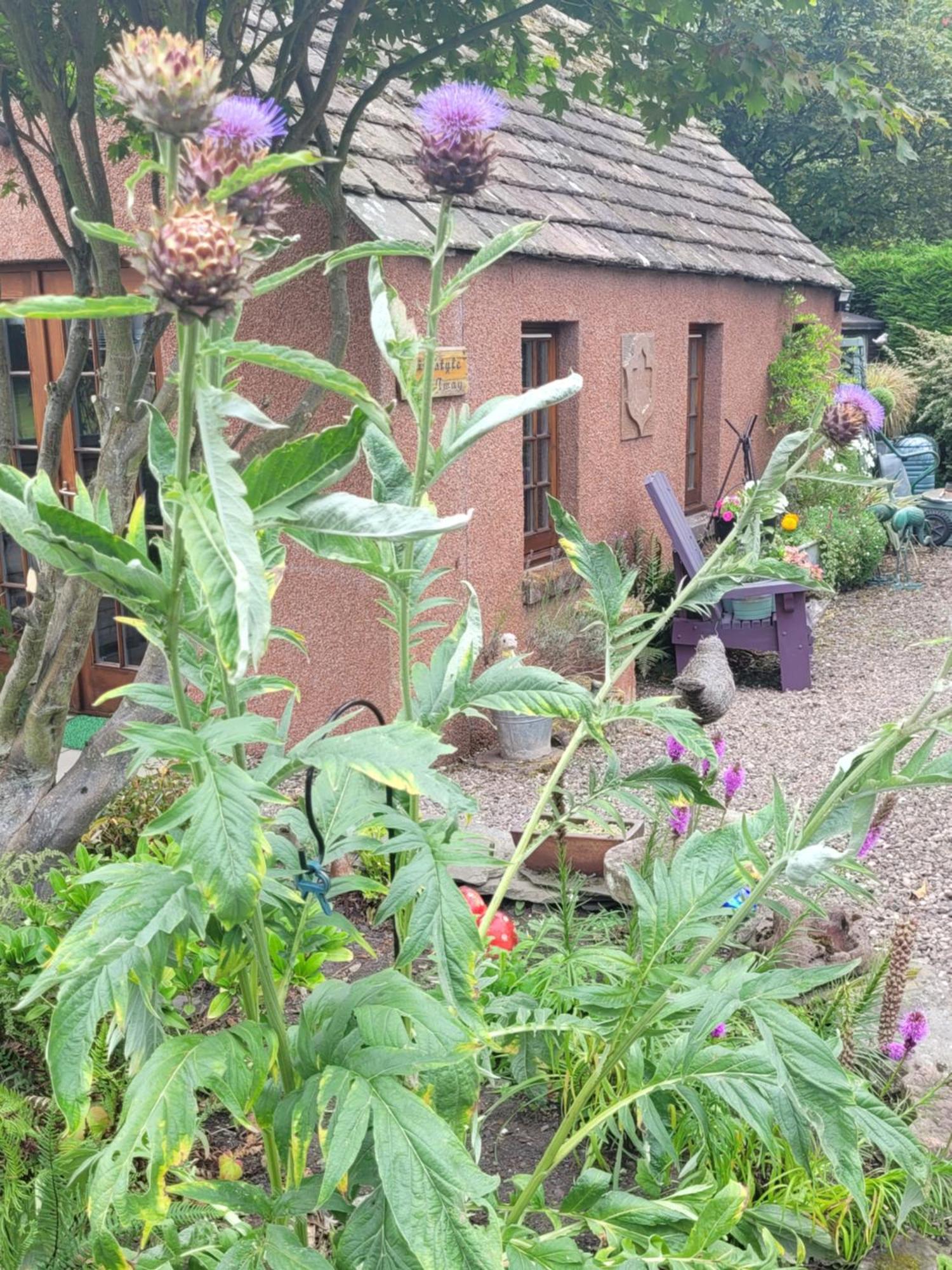 Kirkstyle Hideaway Bed & Breakfast Arbroath Exterior photo